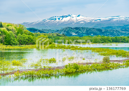 残雪の岩手山と御所湖 136177769