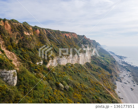 Aerial View of Saint Jouin Bruneval Beach with Waves and Cliffs Aerial View of Saint Jouin Bruneval Beach with Waves and Cliffs 136177851