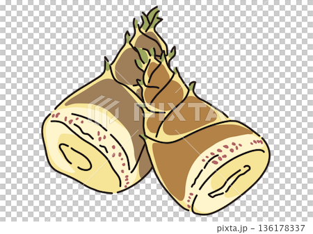 大きめサイズの新鮮なたけのこ　シンプルなイラスト 136178337