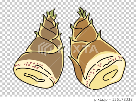 Large fresh bamboo shoots simple illustration set 136178338
