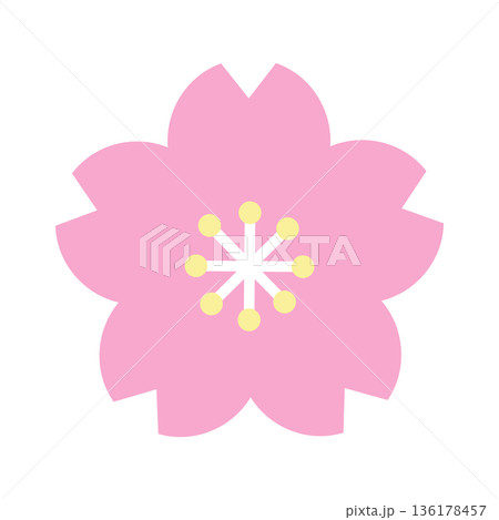 桜の花のイラスト素材 桜の花のイラスト素材 136178457