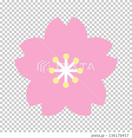 桜の花のイラスト素材 桜の花のイラスト素材 136178457