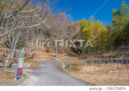 石舞台古墳から岡寺へ続く道　奈良県明日香村 136178854
