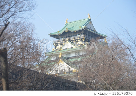 大阪城梅林 大阪城梅林 136179076