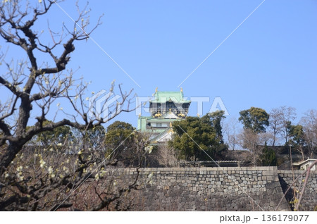 大阪城梅林 大阪城梅林 136179077