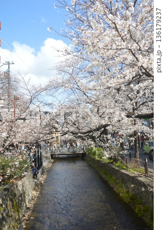 京都・高瀬川 京都・高瀬川 136179237