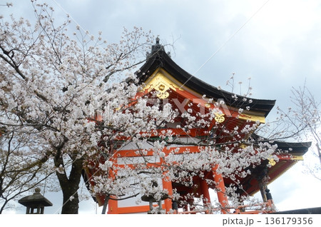 京都・清水寺 京都・清水寺 136179356