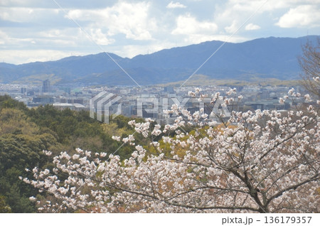 京都・清水寺 京都・清水寺 136179357