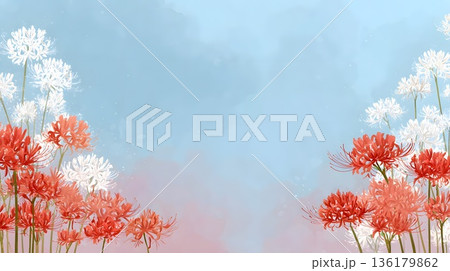 彼岸花の水彩フレーム背景 136179862