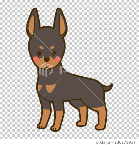 短毛獵犬的例證 短毛獵犬的例證 136179917