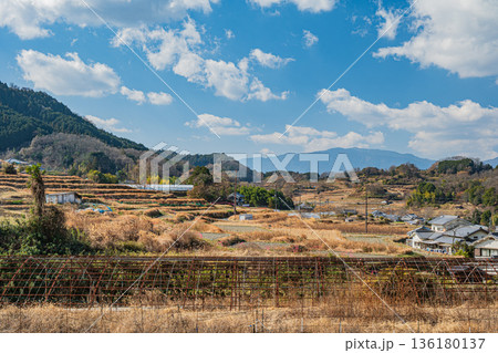 冬の明日香村 阪田の棚田風景 奈良県 冬の明日香村 阪田の棚田風景 奈良県 136180137