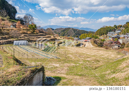 冬の明日香村　阪田の棚田風景　奈良県 136180151
