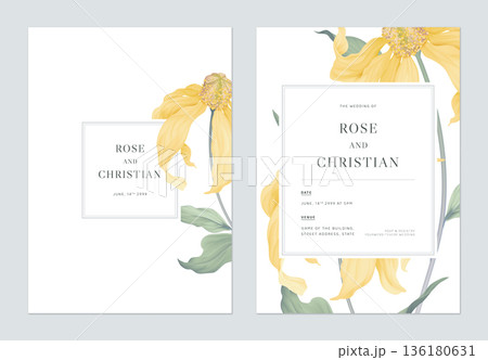 Floral wedding invitation card template design, Cutleaf coneflower with leaves on white Floral wedding invitation card template design, Cutleaf coneflower with leaves on white 136180631