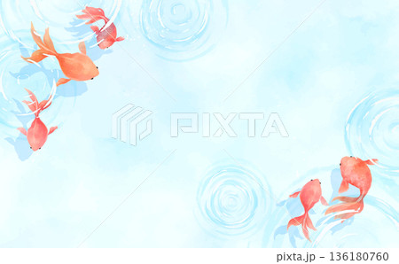 水彩風の涼しげな水面と波紋と金魚背景_横 水彩風の涼しげな水面と波紋と金魚背景_横 136180760