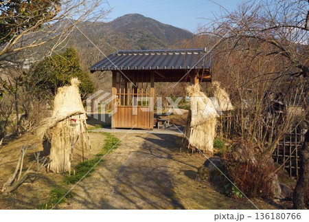 藁ボッチが迎える散歩道 藁ボッチが迎える散歩道 136180766