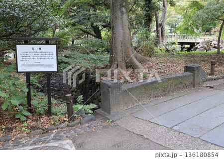 日比谷公園に保存されているかつて芝増上寺にあった石橋 136180854