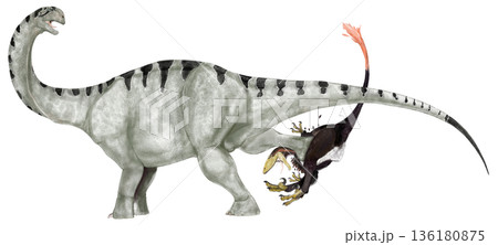 ブロントメルス　竜脚類類の多様性を示す中竜脚類 136180875