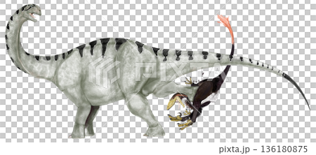 ブロントメルス　竜脚類類の多様性を示す中竜脚類 136180875