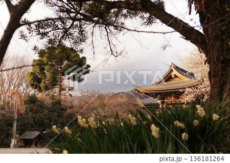 自然に囲まれた寺院 自然に囲まれた寺院 136181264
