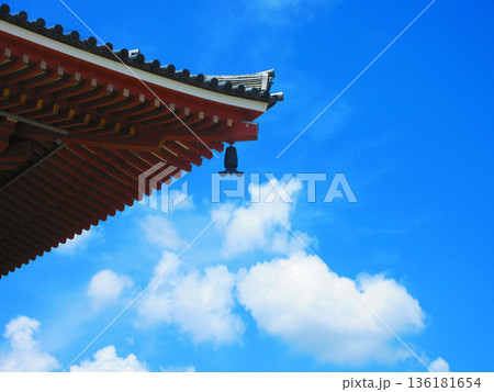西新井大師（東京都足立区）内の様々な風景 136181654