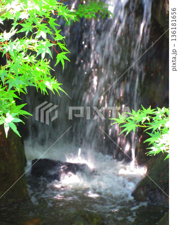 西新井大師(東京都足立区)内の様々な風景 西新井大師(東京都足立区)内の様々な風景 136181656