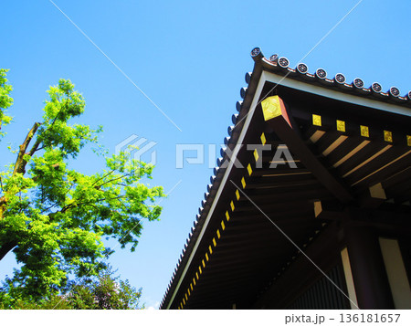 西新井大師（東京都足立区）内の様々な風景 136181657