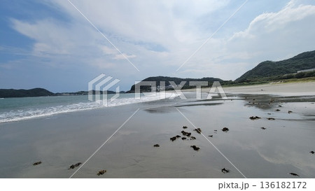 竜宮の磯の景色 202208 (17) 竜宮の磯の景色 202208 (17) 136182172