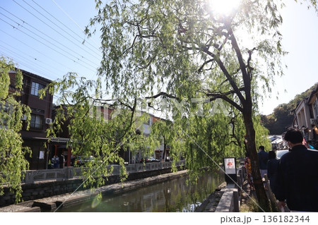 城崎温泉 2021年5月 (3) 136182344