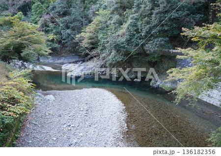 京都西明寺から神護寺への途中の清滝川 136182356