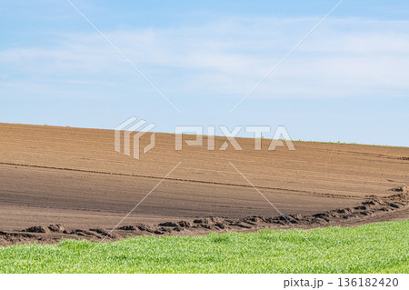 整地された畑（畑イメージ） 136182420