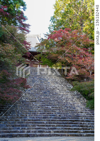京都高雄神護寺金堂前の大階段 136182448