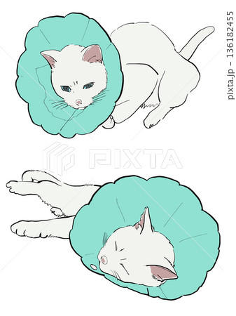 透過画像 136182455