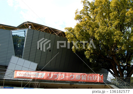 熊本城公園 緑に囲まれた球場「リブワーク藤崎台球場」 熊本城公園 緑に囲まれた球場「リブワーク藤崎台球場」 136182577