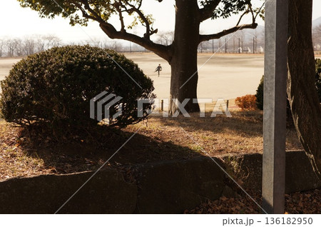 運動場と野球少年 136182950