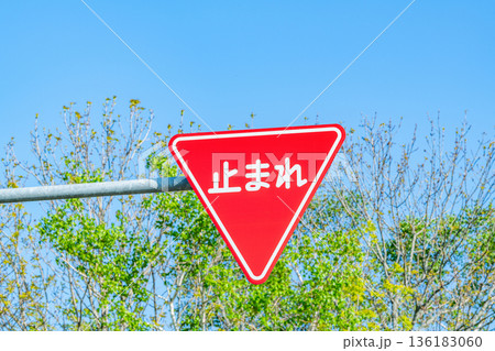 道路標識「止まれ」 136183060