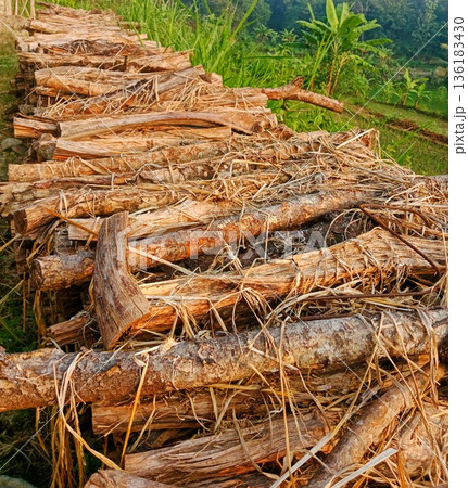 photo of a pile of dry firewood photo of a pile of dry firewood 136183430