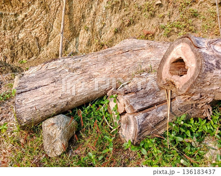 portrait of pile of old wood lying in field 136183437