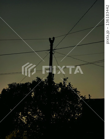 photo of electricity network poles in the countryside in the late afternoon 136183442