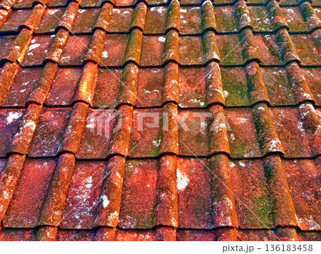 the tile roof is mossy because it is old 136183458