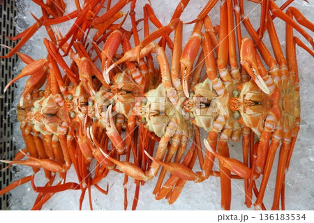 越前がに 136183534