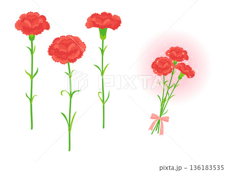 赤いカーネーションのイラスト 136183535