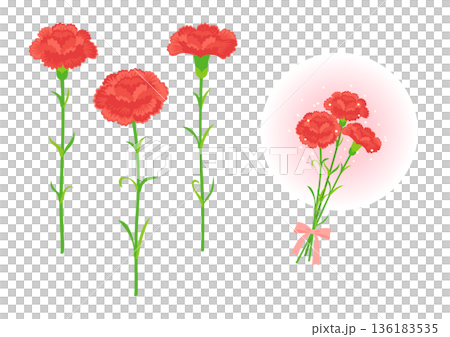 赤いカーネーションのイラスト 136183535