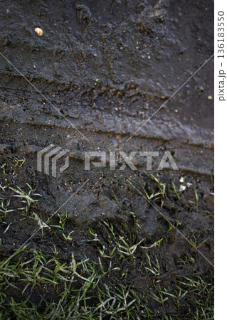 Wet Grass And Soil After Rain, A fresh photo of wet grass and soil after rain, glistening green blades and dark earth in light, for nature renewal or rain documentary. Wet Grass And Soil After Rain, A fresh photo of wet grass and soil after rain, glistening green blades and dark earth in light, for nature renewal or rain documentary. 136183550