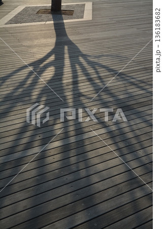 ウッドデッキに伸びる影 136183682