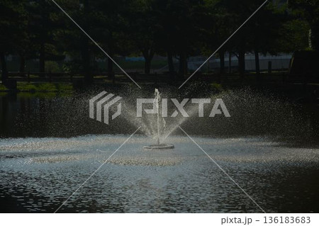 噴水のある公園 136183683