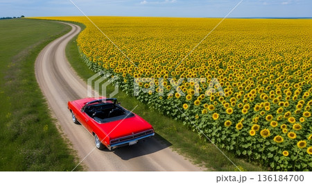 Red Convertible Car Driving Through a Sunflower Field on a Sunny Day 136184700