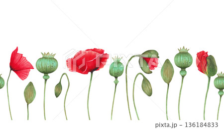 Watercolor seamless horizontal border with vertically arranged poppy, buds, seed pod. Wild Poppy Festival. Hand drawn botanical art. Day of Remembrance and Mourning. Banner for packaging, invitations 136184833