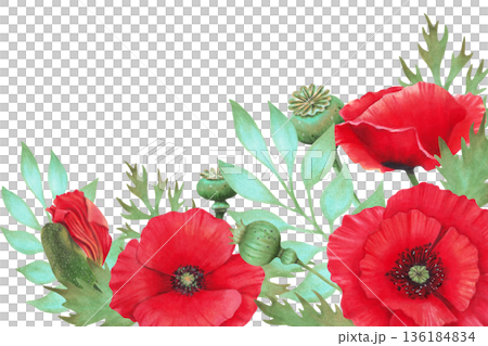 Horizontal frame with poppies, buds and seed pods. Wild Poppy Festival. Hand drawn botanical watercolor art. Remembrance and Mourning Day. Template for packaging, invitations and printed materials 136184834