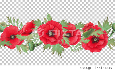 Watercolor seamless horizontal border with poppy flowers, buds and seed pods. Wild Poppy Festival. Hand drawn botanical art. Day of Remembrance and Mourning. Banner for packaging, textiles, printing 136184835