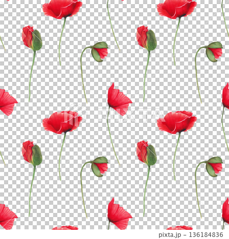 Seamless pattern of red poppies with buds on stems. Watercolor botanical illustration. Wild poppy festival. Hand-drawn isolated background. Remembrance, spring, and Labor Day. For fabric and textiles Seamless pattern of red poppies with buds on stems. Watercolor botanical illustration. Wild poppy festival. Hand-drawn isolated background. Remembrance, spring, and Labor Day. For fabric and textiles 136184836